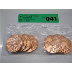 10x Uncirculated US mint Native & Eagle coins