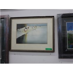Original watercolour, Signed by Stephanie Skeal