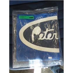Blue bug screen for Peterbilt 379 extended  cab