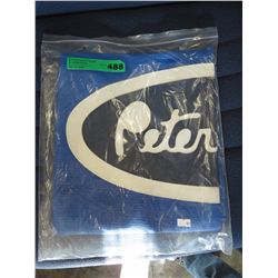 Blue bug screen for Peterbilt 379 extended  cab