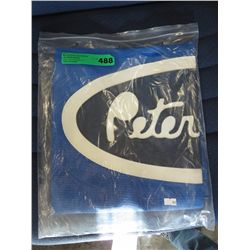 Blue bug screen for Peterbilt 379 extended  cab