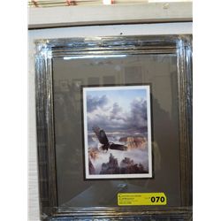 Framed print of an eagle