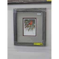 "Cardinal & Snowberries" by Robert Bateman