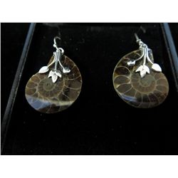 New Ammonite Earrings