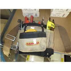 Tool belt with hand tools