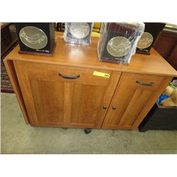 Rolling cabinet with fold out extension