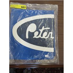 Truck bra for Peterbilt extended hood - blue