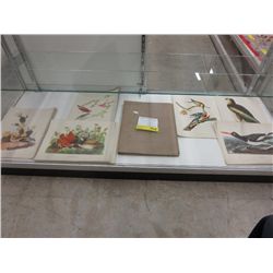 Hard to find Audubon print folio