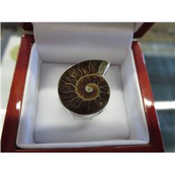 Ammonite ring