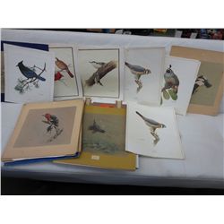 Vintage F. Lansdowne bird prints