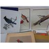 Image 2 : Vintage F. Lansdowne bird prints