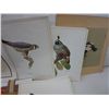Image 3 : Vintage F. Lansdowne bird prints
