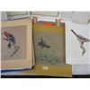 Image 4 : Vintage F. Lansdowne bird prints