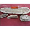 Image 1 : Four fossils