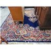 Image 1 : Area rug 12' x 16'