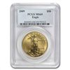 Image 1 : 2009 1 oz Gold American Eagle MS-69 PCGS