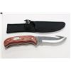 Image 1 : Hunting Knife With Sheath