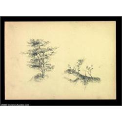 Two Trees by Tom Morris. A carbon-based material sketch of two trees, on a piece of thick paper (sim