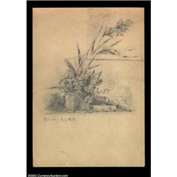 More Tom Morris Artwork. This pencil drawing by engraver Thomas J. Morris is of a potted plant with.