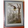 Image 1 : FRAMED LIMITED EDITION PRINT "SHROUDED FOREST - - DANIEL SMITH - RETAIL ~$600