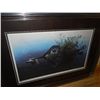 Image 1 : FRAMED LIMITED EDITION PRINT " RIVER OTTER - BRENT TOWNSEND - RETAIL APPROX $800