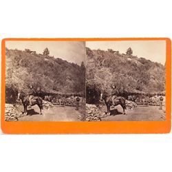 Prospecting Miners Photograph - Cox, AZ