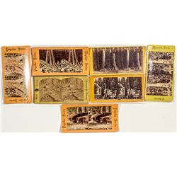 Big Trees Stereo Views -  CA