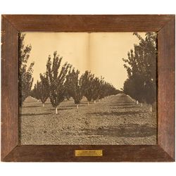 Santa Clara Valley Photograph - Santa Clara, CA