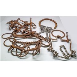 Horse Bit Collection -  ID