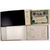Image 1 : The Big Swede Gold Mines Co. Stock Certificates and Meeting Minutes Books - Gilbert, NV