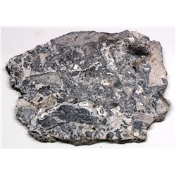 Silverberry Ore Slab from teh Bulldog Mine Colorado -