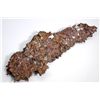 Image 1 : Large Copper Specimen -  MI
