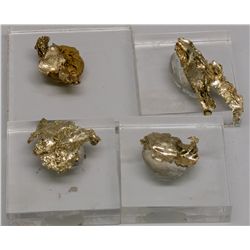 Round Mountain Gold Leaf - Round Mountain, NV