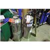 Image 1 : 2 STAINLESS STEEL FIRE EXTINGUISHERS