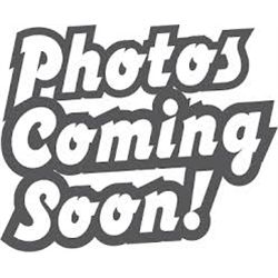 2004 - NISSAN ALTIMA