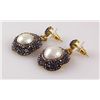 Image 2 : Victorian Vintage Mother of Pearl Earring