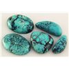 Image 1 : Natural Turquoise 124.86ctw Loose Small Gemstone Lot of