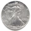 Image 1 : Uncirculated Silver Eagle 1992