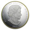 Image 2 : 2013 Kilo Silver Canadian $250 Maple Leaf Forever - Gil