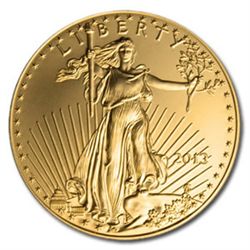 US American Gold Eagle Uncirculated 1 oz 2013