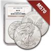 Image 1 : 2013 1 oz Silver American Eagle MS-70 NGC (ER) 3 Coin S