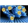 Image 1 : 100000 COLOSSUSCOIN (COL) & DIGITAL WALLET - ON SD MEMORY CARD! OR DIRECT TO YOUR WALLET-BITCOIN BTC