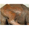 Image 2 : Andy Anderson Two Buffalo