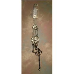 Mexican Bridle