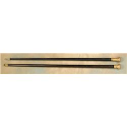 Two Gold Tip Walking Sticks