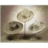 Image 1 : Three (3) Cowboy Hats