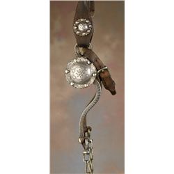 Visalia Bridle and Half Breed Bit