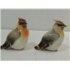 Image 1 : LOT 2 FEMALE CARDINALS PORCELAIN BIRDS - USSR