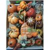 Image 2 : HUGE SELECTION OF FALL DECORATIVE ITEMS, CHRISTMAS