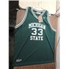 Image 1 : HARDWOOD LEGENDS BASKETBALL JERSEY JOHNSON #33
